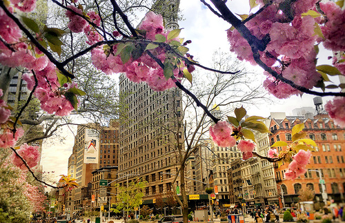 Flatiron Building New York City