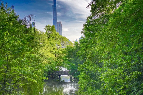 Central Park, New York City