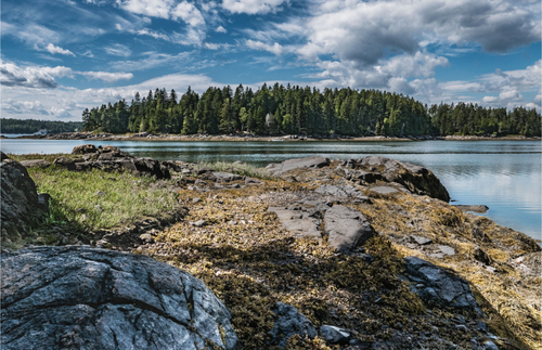 Schoodic Peninsula Acadia National Park